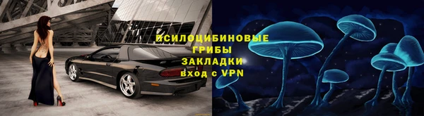 индика Магас