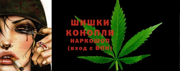 индика Магас