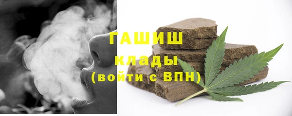 индика Магас