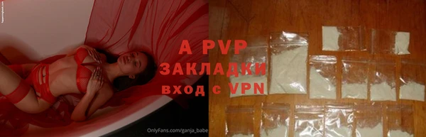 индика Магас