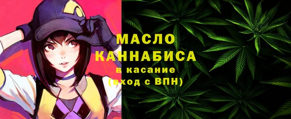 индика Магас