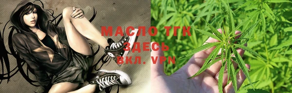 индика Магас