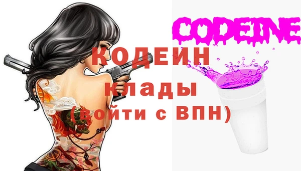 индика Магас